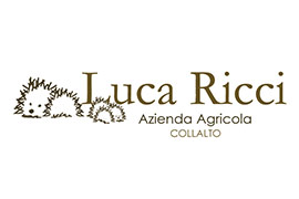 Luca Ricci.jpg
